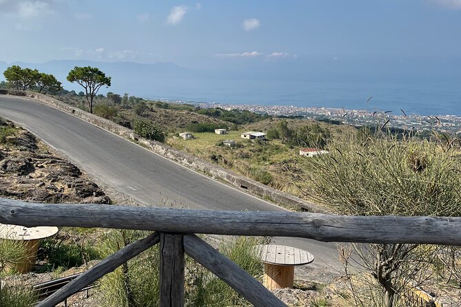 Visit Mt Vesuvius & Pompeii skip the line tickets from naples - Driver-led service or guided tour?