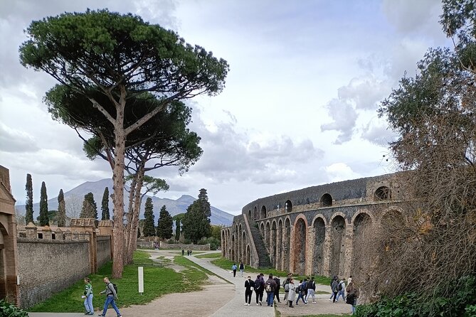 Visit Pompeii Sorrento Positano - One day from Naples, three very different places