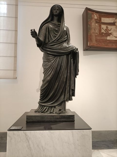 Visit the Museum MANN with a professional guide - Key points to know before you book