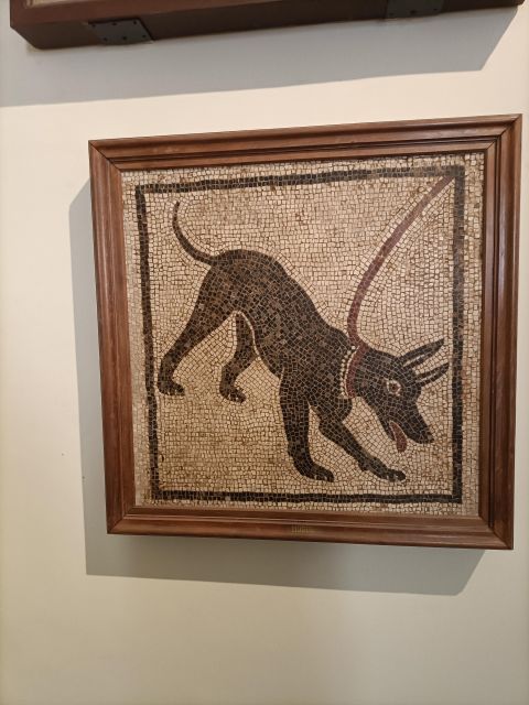 Visit the Museum MANN with a professional guide - The first hour: finding your way through Roman art