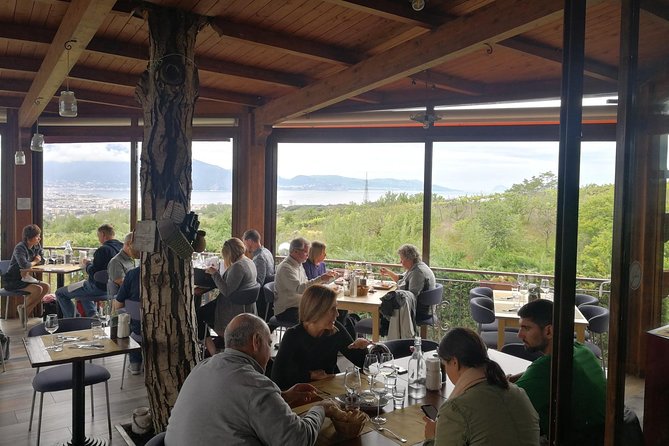 Wine & Food Tour at the Vesuvius Winery - Practical details worth settling early