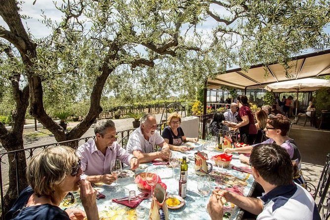 Wine & Food Tour at the Vesuvius Winery - Walking the four-hectare winery