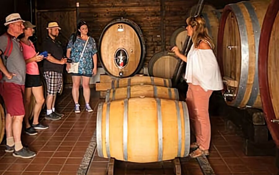 Wine Tasting Experience on the slopes of Vesuvius - Is the $135.94 price fair?