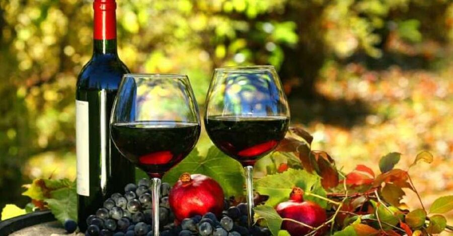 Wine Tasting Experience on the slopes of Vesuvius - Views across the Bay of Naples