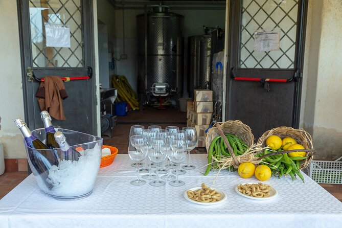 Wine Tasting in Campi Flegrei from Naples - Is $169.24 per person fair value?