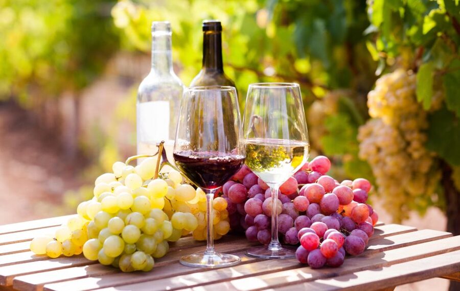 Wine tasting in the Vesuvius National Park - Key points to know before booking